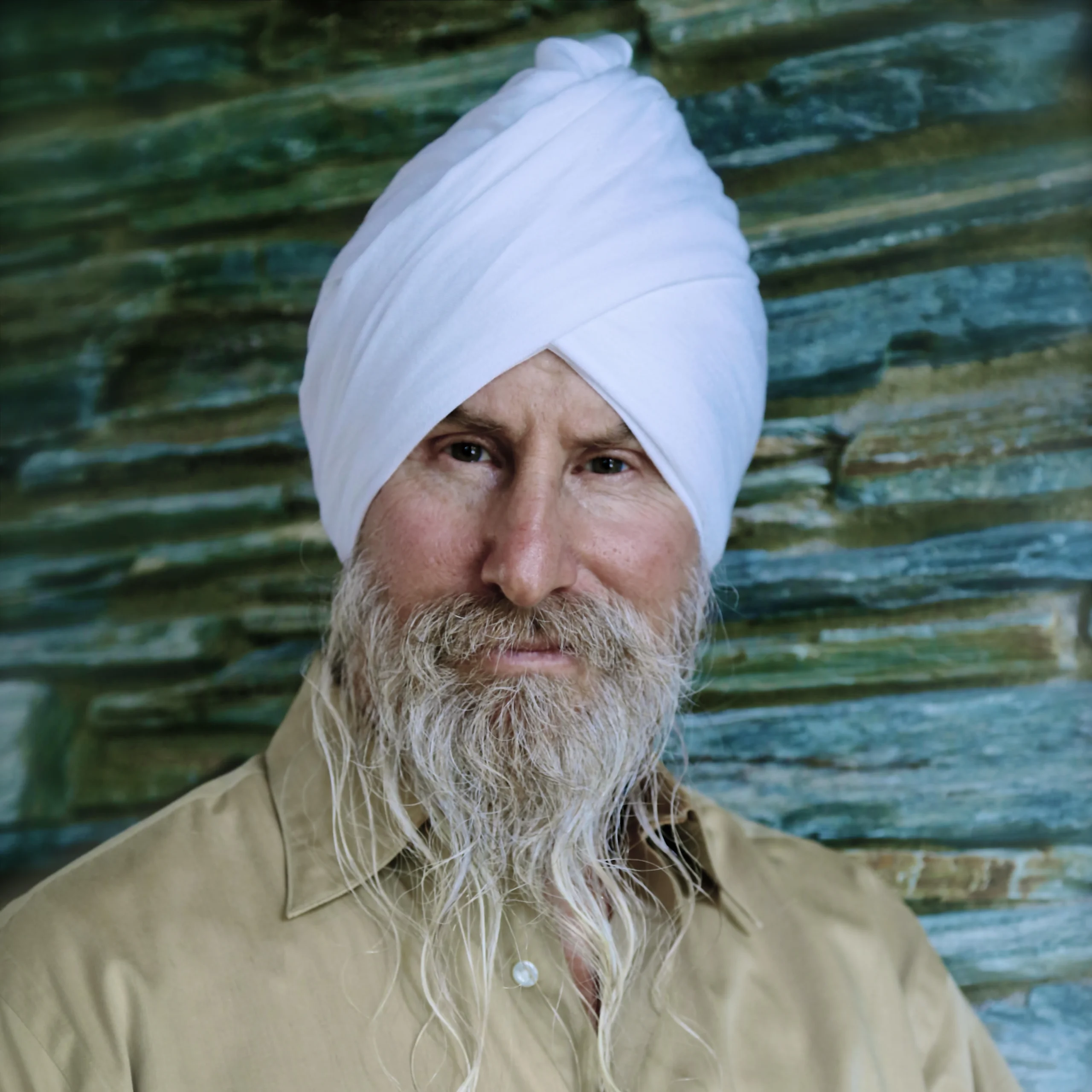 David Shannahoff-Khalsa
